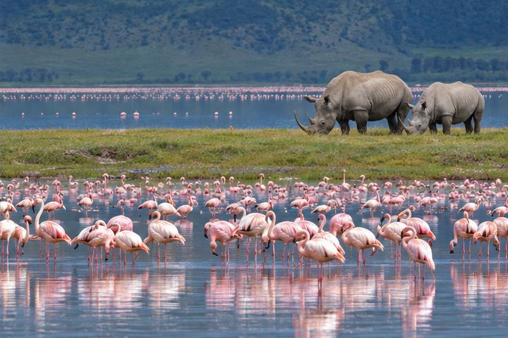 Explore Nakuru, Kenya